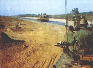 dcoy.jpg (13733 bytes)