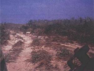 ambush2.JPG (27901 bytes)