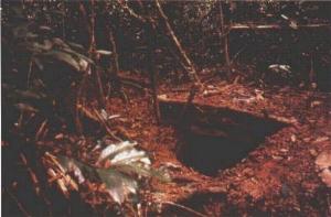 bunker.JPG (31092 bytes)