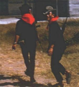 vc.JPG (29053 bytes)